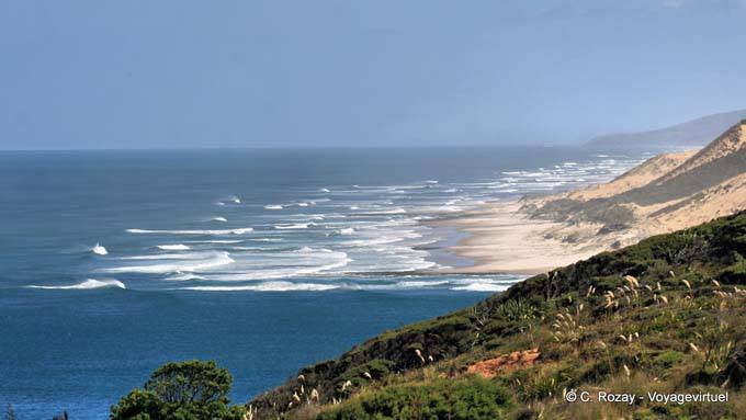 Vista desde el Arai Te Uru reserva recreación, Hokianga Harbour, Oponomi, Northland - Nueva-Zelanda