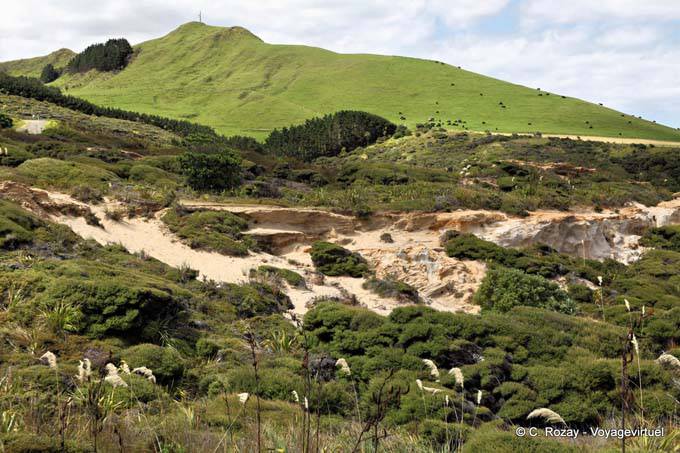 Arai Te Uru-recreación reserva Omapere, Hokianga Harbour Oponomi, Northland - Nueva-Zelanda