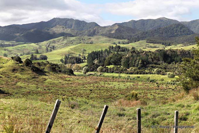 Camino Oponomi Paihia, Northland - Nueva-Zelanda