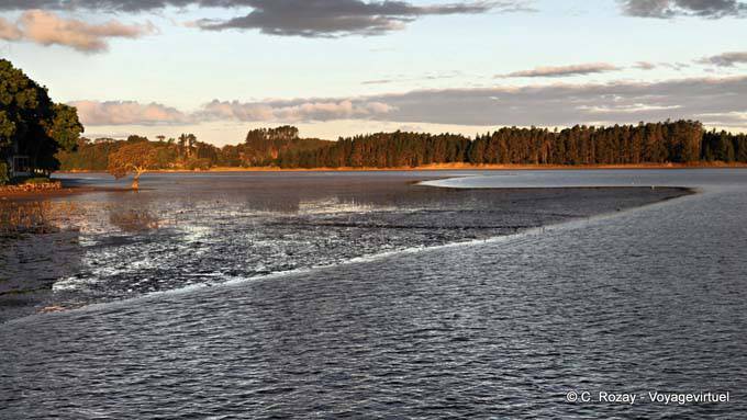 Noche de luz sobre Whananaki, Northland - Nueva-Zelanda