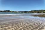 Hermosa playa frente al este, Oakura Bay, Northland, Nueva-Zelanda.