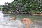 River Inlet, Whananaki, Northland, Nueva-Zelanda.