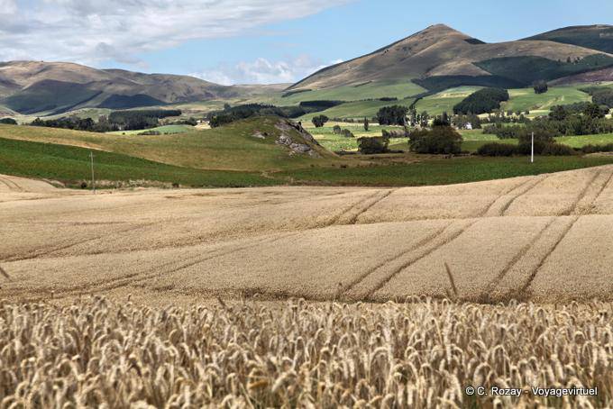 Clinton, Otago - Nueva-Zelanda