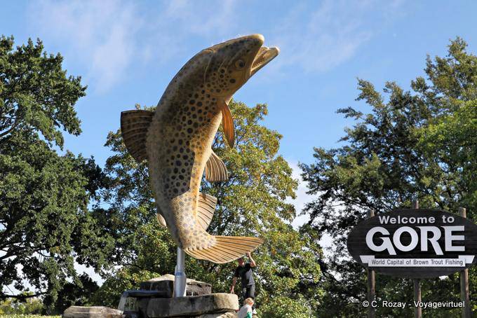 Gore Marrón agujero de la pesca, Otago - Nueva-Zelanda