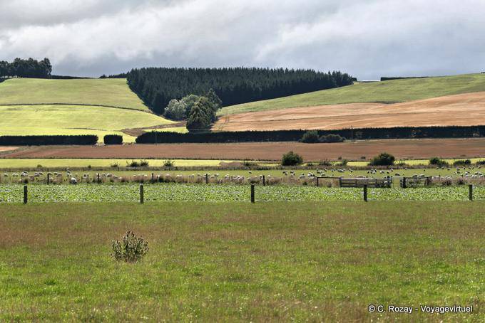 Lumsden Luces, Otago - Nueva-Zelanda