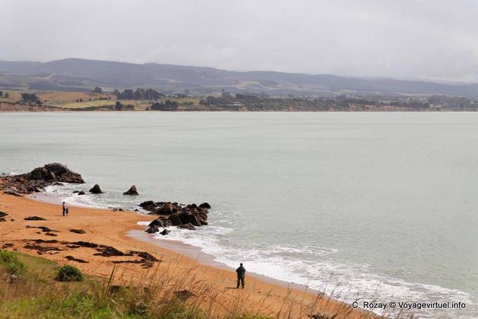 Paisaje, Moeraki, Otago - Nueva-Zelanda