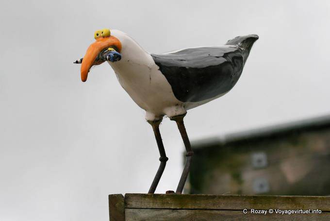 Pájaro divertido, Moeraki, Otago - Nueva-Zelanda
