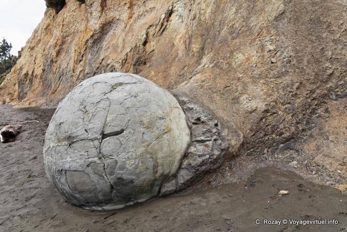 Concreciones septarian, Rocas Moeraki Scenic Reserve, Otago - Nueva-Zelanda