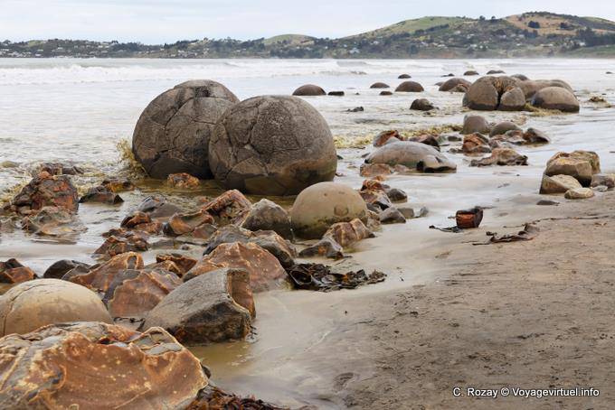Pelotas Pareja, Rocas Moeraki Scenic Reserve, Otago - Nueva-Zelanda