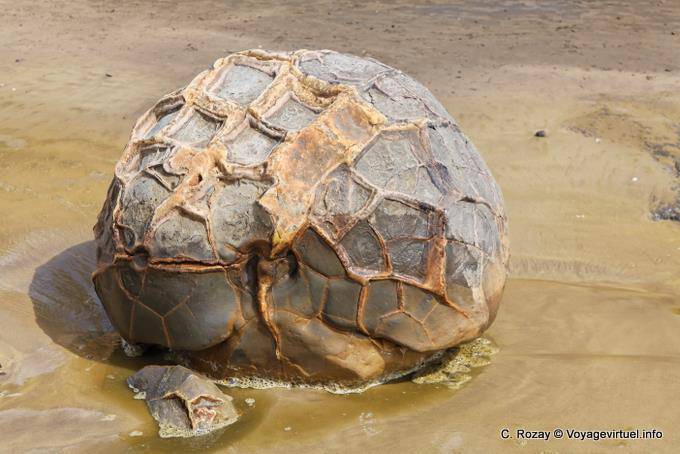 Corazón Pelota, Rocas Moeraki Scenic Reserve, Otago - Nueva-Zelanda