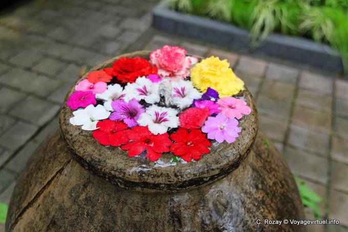 Flores cortadas, Oamaru, Otago - Nueva-Zelanda