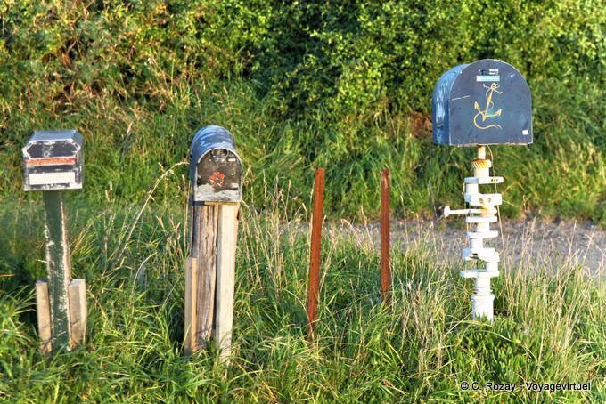 Peninsula Dunedin Caja de las Letras - Nueva-Zelanda