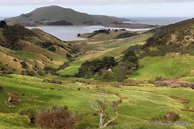 Península de Dunedin, Panorama Sheppard carretera - Nueva-Zelanda