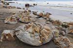 Bola de despiece, Rocas Moeraki Scenic Reserve, Otago, Nueva-Zelanda.