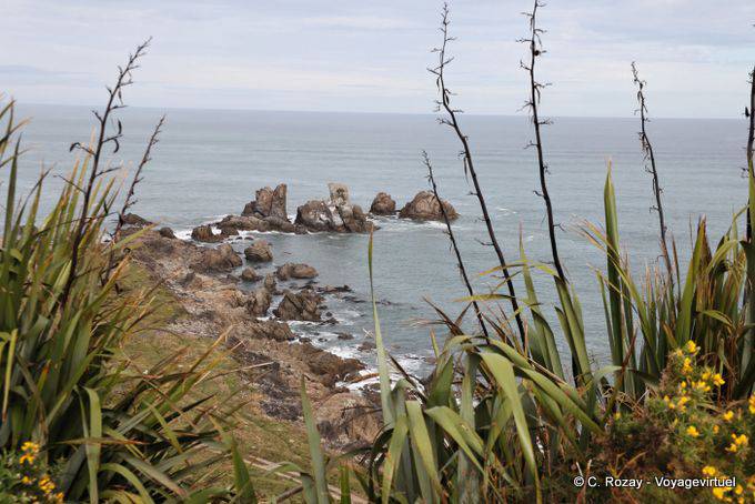 Cabo Foulwind, Westcoast - Nueva-Zelanda
