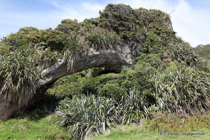 Puente de roca natural Paparoa Entre Carpintero Y Hatters Bay, Costa Occidental - Nueva-Zelanda