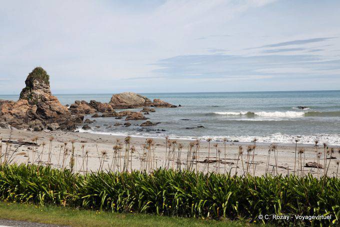 Paparoa Parque Carpintero Bay, Costa Occidental - Nueva-Zelanda