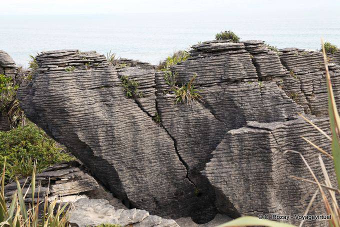 Formación de piedra caliza Curioso de Rocas de la crepe, Punakaiki, Costa Occidental - Nueva-Zelanda