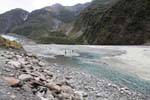 Entre White creek y Yellow Creek, Fox Glacier, Costa Occidental, Nueva-Zelanda.