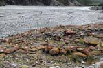 Rocas y agua de deshielo, Fox Glacier, Westcoast, Nueva-Zelanda.