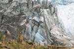 Melodía Hielo Alpes del Sur de Nueva Zelanda, Fox Glacier, Costa Occidental, Nueva-Zelanda.