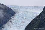 Funciona con 4 glaciares alpinos, que desciende de 2600m, Fox Glacier, Costa Occidental, Nueva-Zelanda.