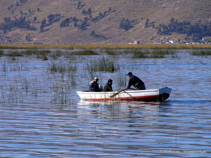 Entre las cañas fuera de Puno, Lago Titicaca -Perú
