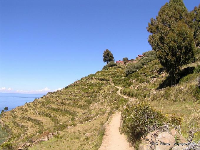 Camino entre terrazas de cultivo en una ladera, Isla Taquile, Titicaca -Perú