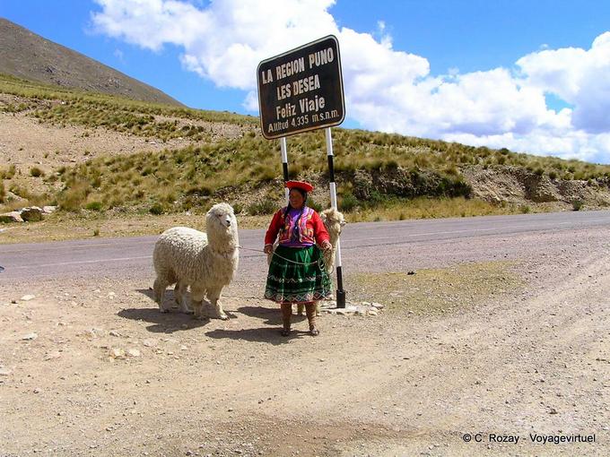Lamas de Raya, altitud 4335 m, Puno el Viaje del feliz DESEA -Perú