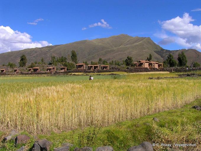 Panorama Raq'chi -Perú