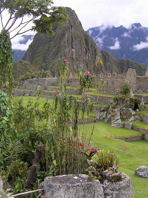 Restos de edificios en un entorno bucólico, Machu Picchu -Perú