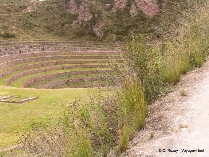 Los canales de riego y terrazas en contorno superior, Moray -Perú