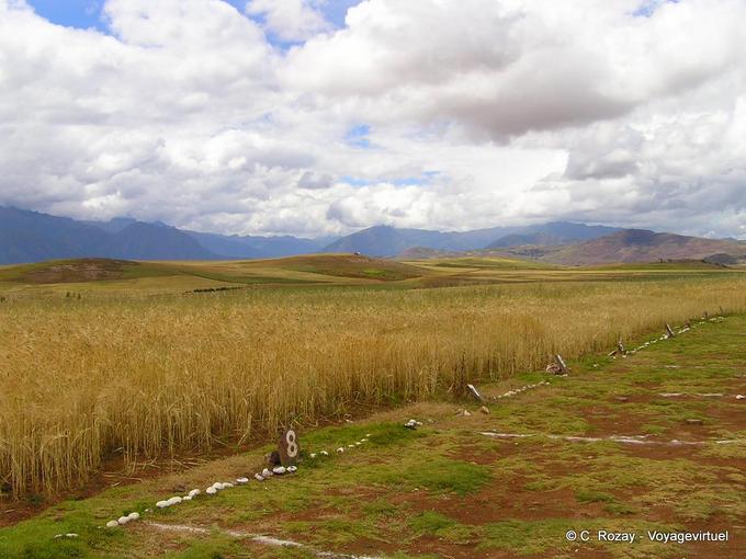 Agricultura codificada, Moray -Perú