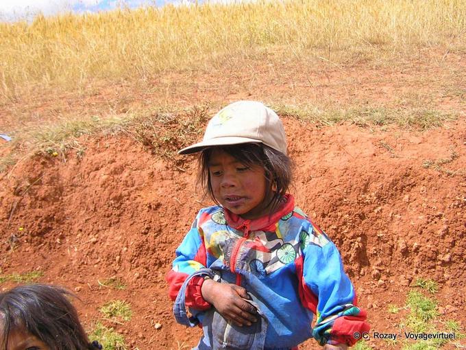 Los arándanos, el pequeño Moray peruana -Perú