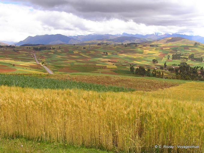 Mosaico de color realizado por campos cultivados a Chinchero -Perú