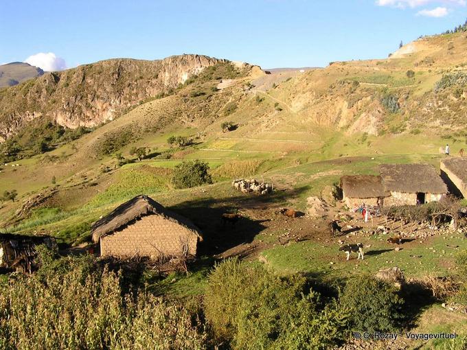 Granja zona de montaña perdida de Uripa -Perú