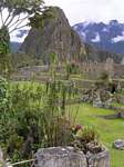 Restos de edificios en un entorno bucólico, Machu Picchu, Perú.