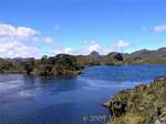 Toreadora laguna del Parque Nacional El Cajas, Ecuador.