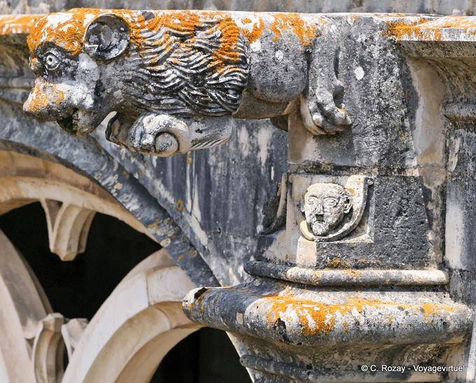 Gárgola Animal, claustro D. Dinis, Alcobaça - Portugal
