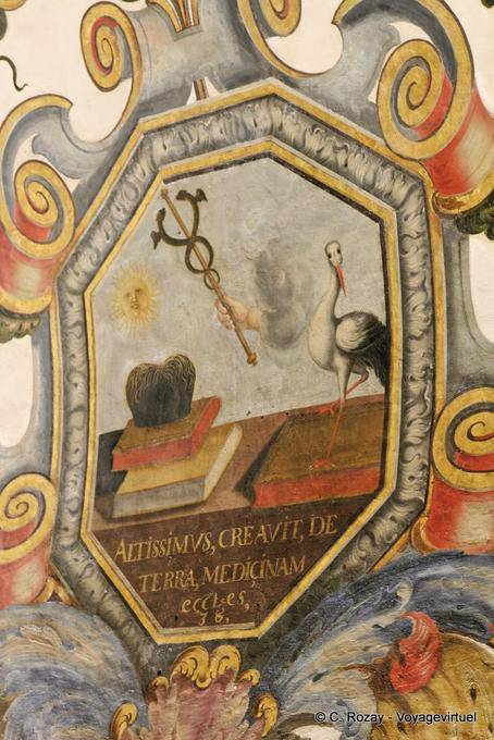 Facultad de Medicina, (altissimus creavit terra medicinam), Coimbra - Portugal