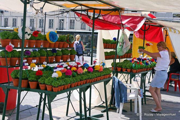 Una tradición local, macetas de albahaca, Plaza Figueira, Lisboa - Portugal