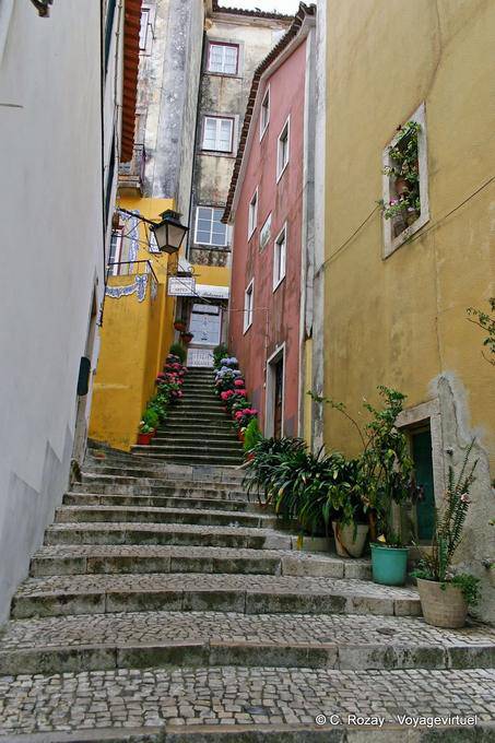 Callejón florecida Escadinhas Félix Nunes, Sintra - Portugal