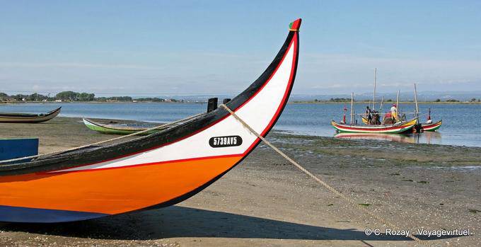 En el borde de la laguna del río Vouga, Torreira - Portugal
