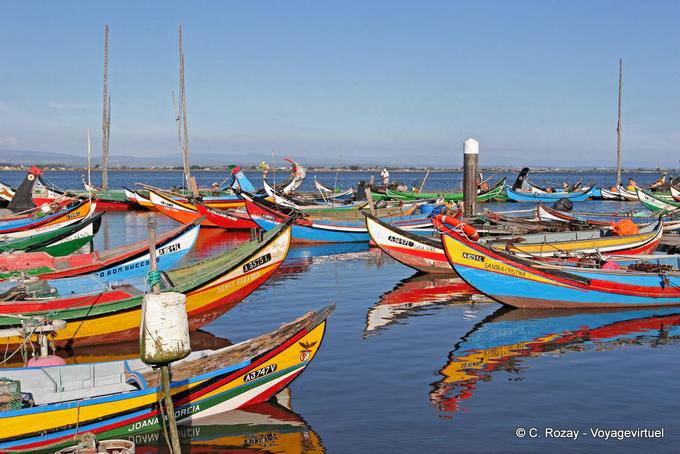 Colonia Moliceiros, Torreira - Portugal