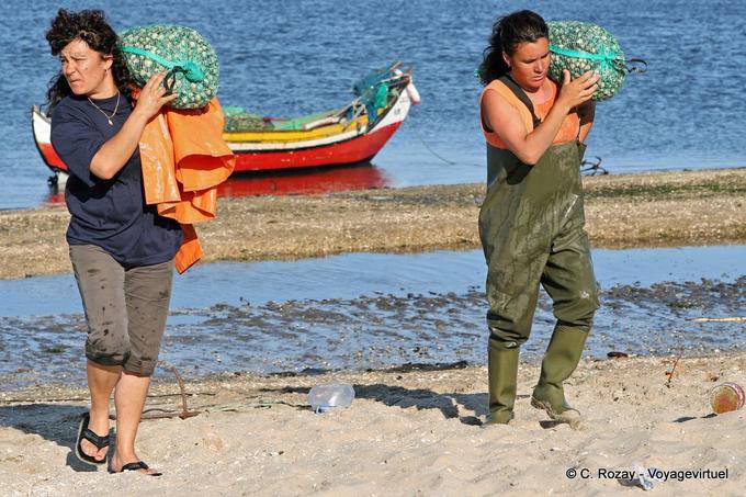 Los depósitos en el hombro, Torreira - Portugal