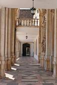 Columnas de mármol, patio delantero de la Sala de la Universidad, Coimbra, Portugal.