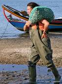 Las conchas fisherwoman, Torreira, Portugal.