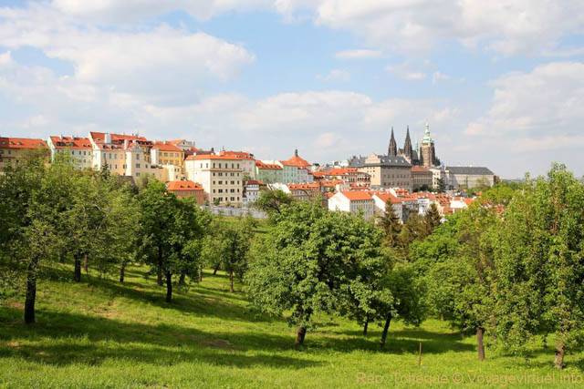 Malá Strana, les arbres de la Colline de Petrin - Praga, República Checa