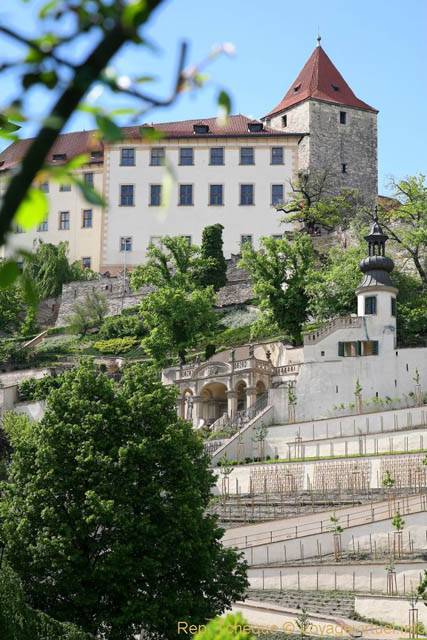 Valdstenjska, cultures en espaliers - Praga, República Checa