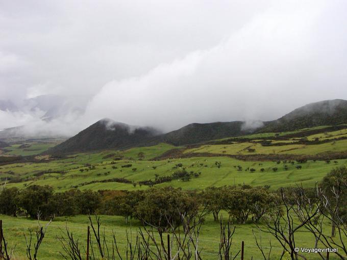 Prados y nubes en Downs Palmiste - Isla de la Reunión